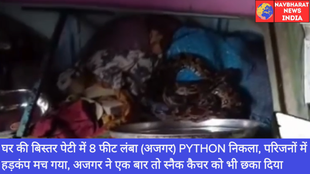 Python