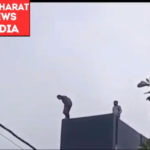 suicide