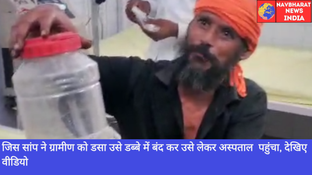 Snake, Navbharat News India