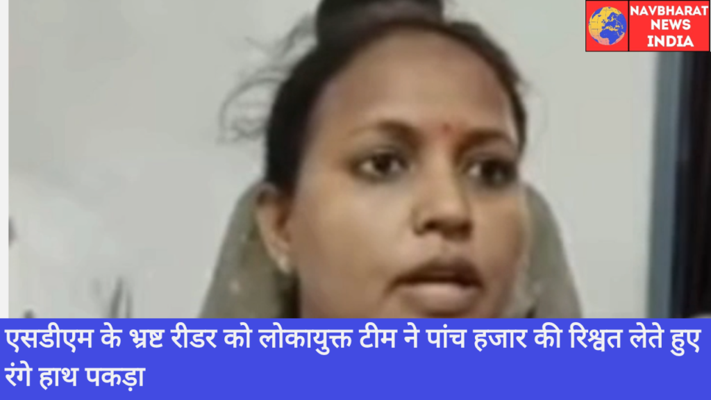 SDM, Navbharat News India