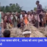 Navbharat News India