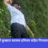 Police, Jalandhar, Punjab, Navbharat News India