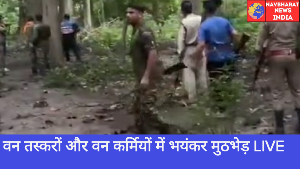 Uttarakhand, Navbharat News India