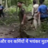 Uttarakhand, Navbharat News India