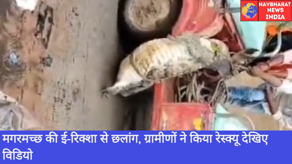 Crocodile, Navbharat News India