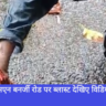 Kolkata, Navbharat News India