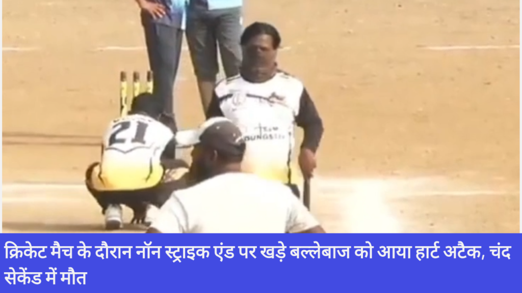 Cricket
