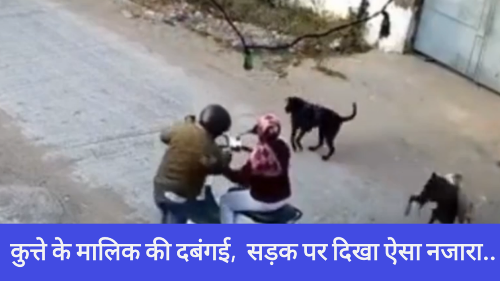 कुत्ते