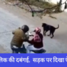 कुत्ते