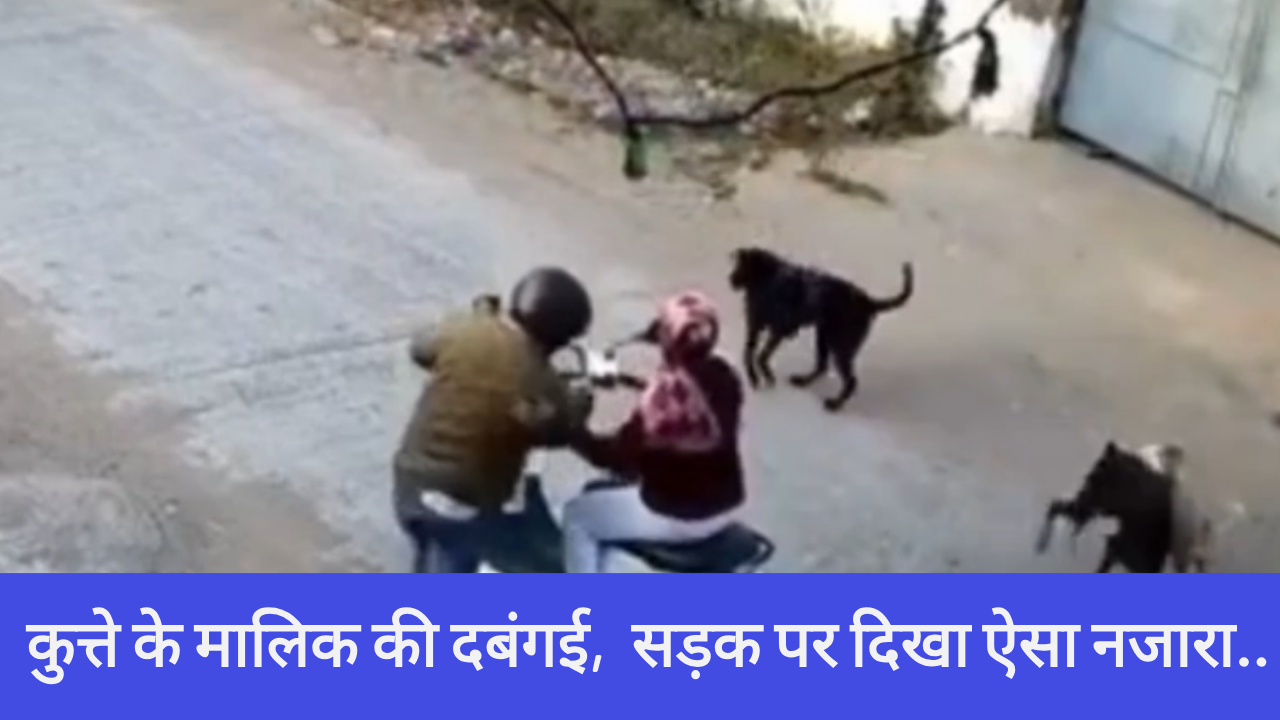 कुत्ते